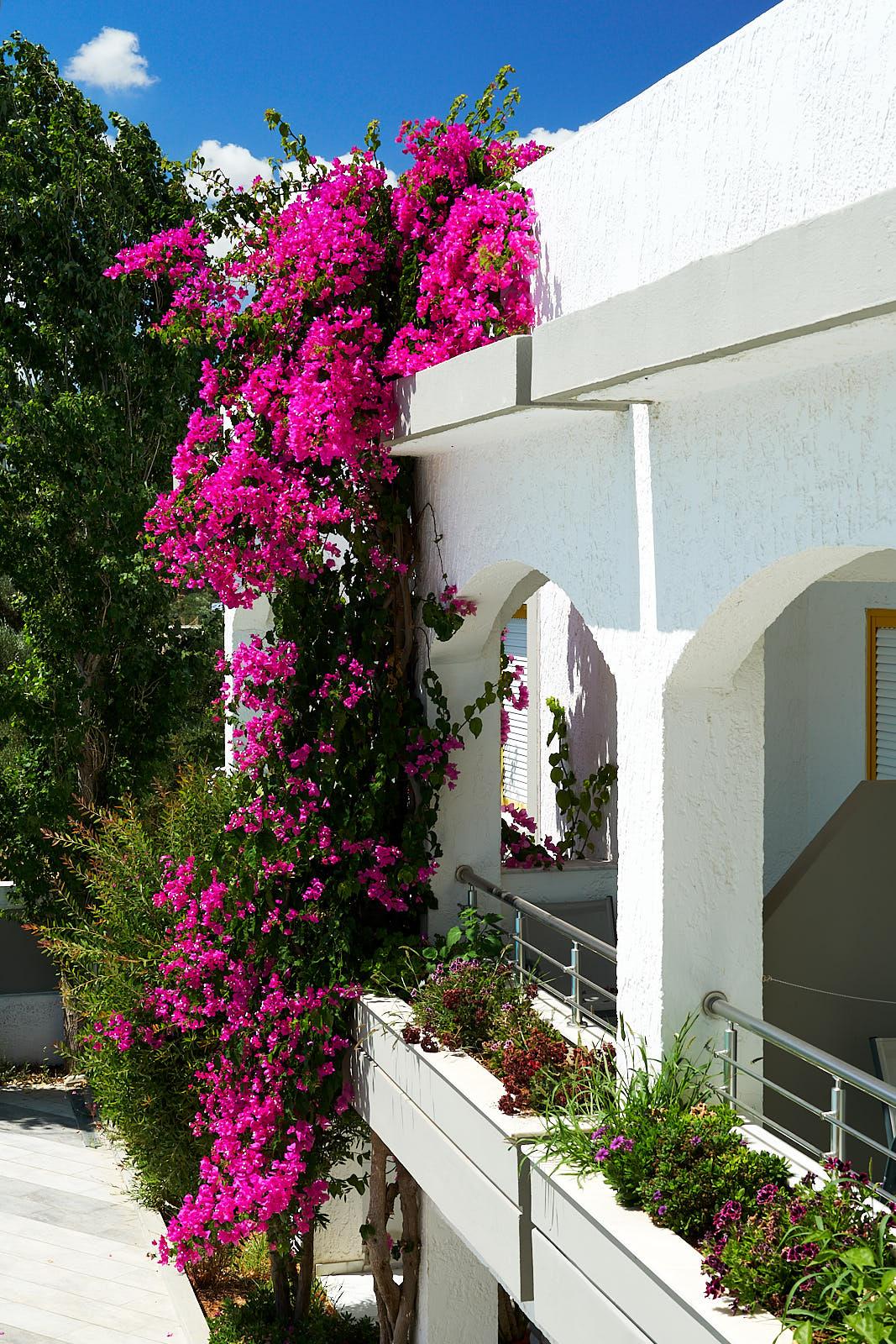 Apollon Hotel Apartments Platanes  Exteriér fotografie